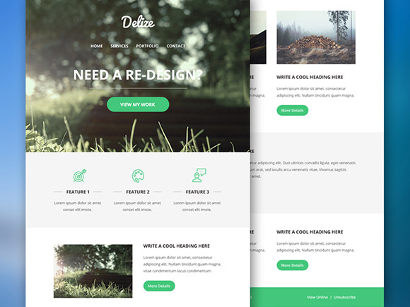 Delize - Email PSD template