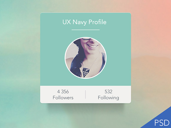 Profile UI widget