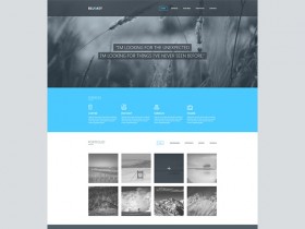 Blueasy - PSD portfolio template