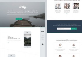 Selly - Clean PSD landing page