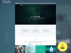 Brandi - Multipurpose PSD template