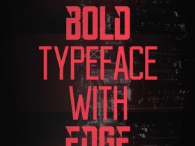 Reckoner free font