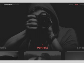 Photography website concept