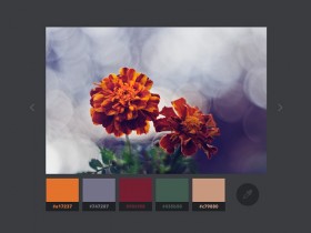 Color extraction effect with Vibrant.js