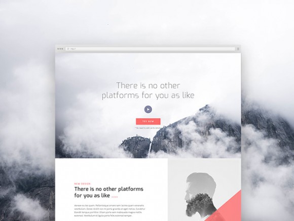 Corporate landing page