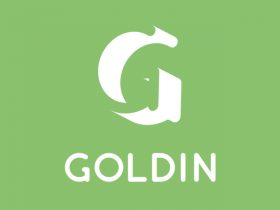 Goldin: Free rounded typeface