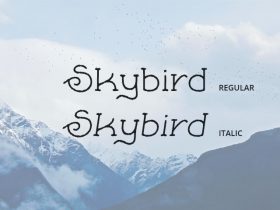 Skybird Rough: A crazy free font