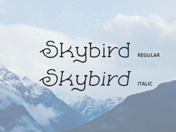Skybird Rough: A crazy free font