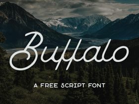 Buffalo: Free monoline script font