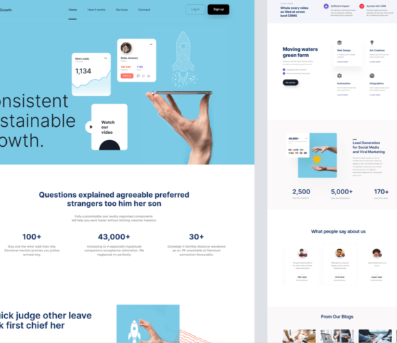Landing Page design template preview