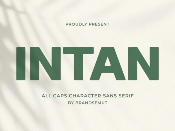 Intan: A Modern Free Sans Serif Font