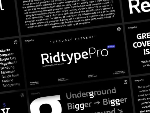 Ridtype: Sans Serif Modern Font