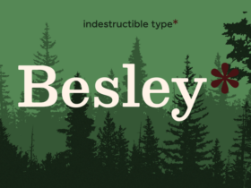 Basley free font