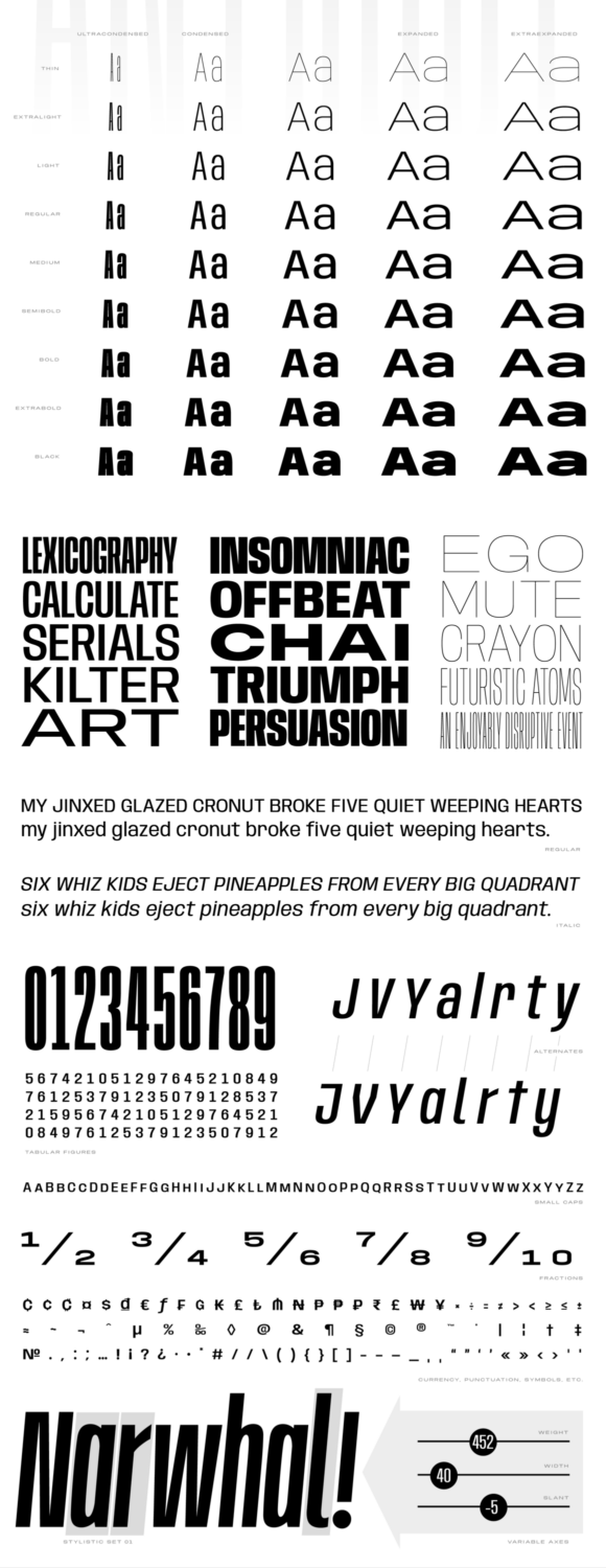 Anybody font preview