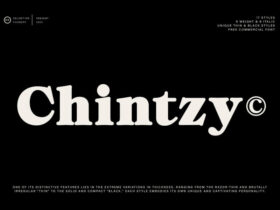 Chintzy: Expressive Serif Font in 9 Weights